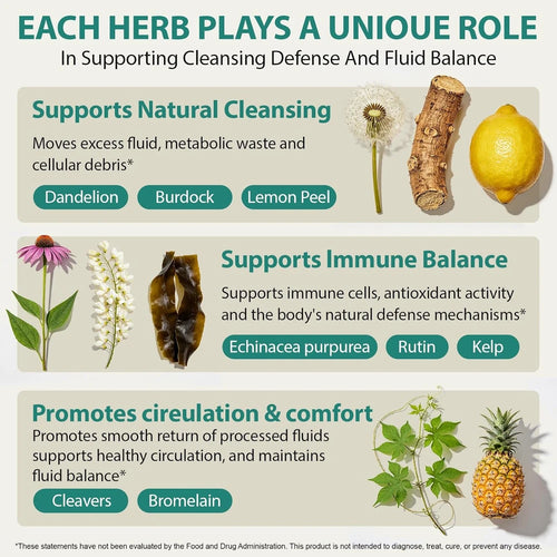 Lymphatic Drainage Herbal Capsules